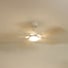 Plume | Ventilateur de plafond