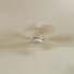Libellule | Ventilateur de plafond