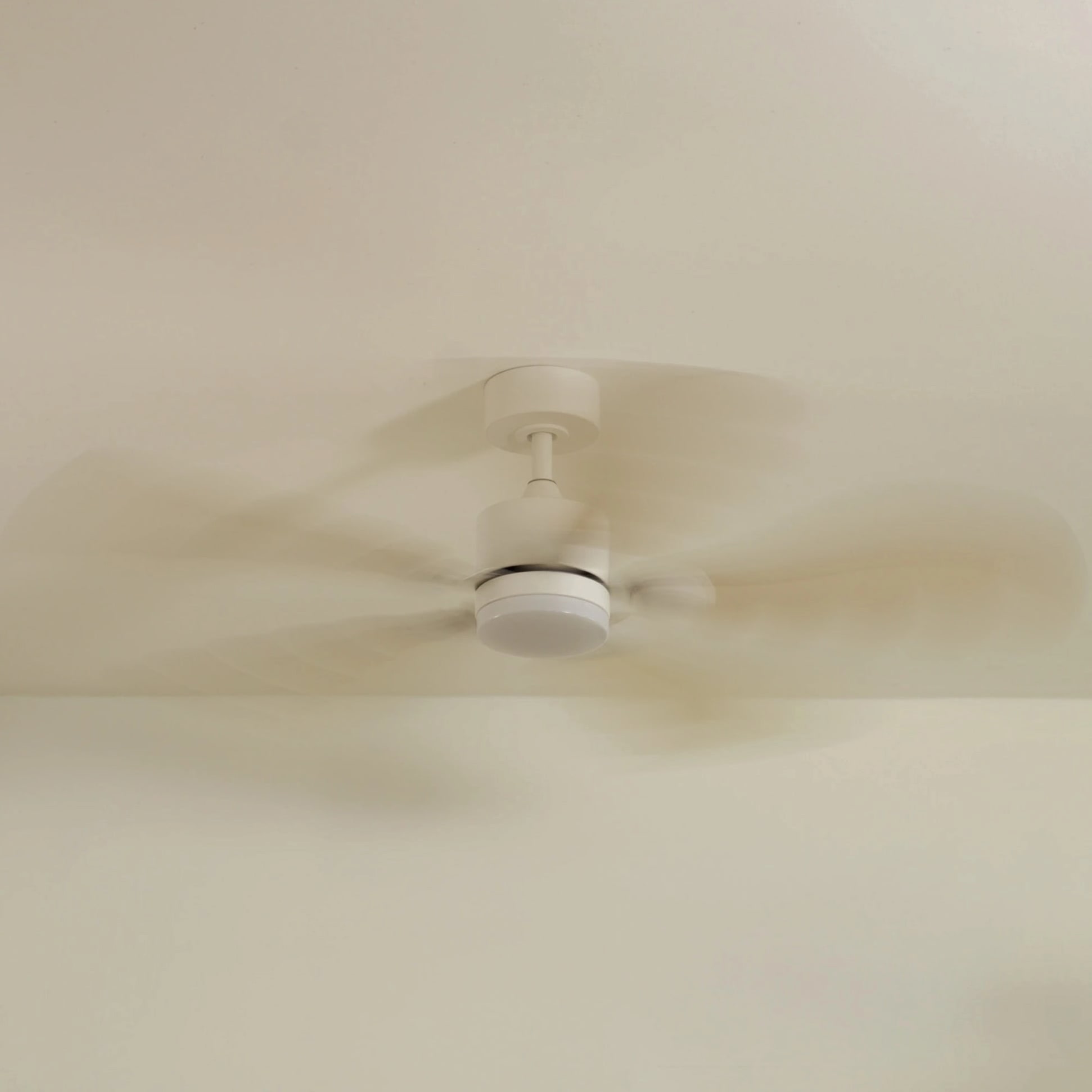 Plume | Ventilateur de plafond