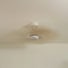 Dahlia | Ventilateur de plafond