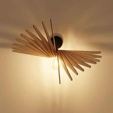 Albatros | Applique