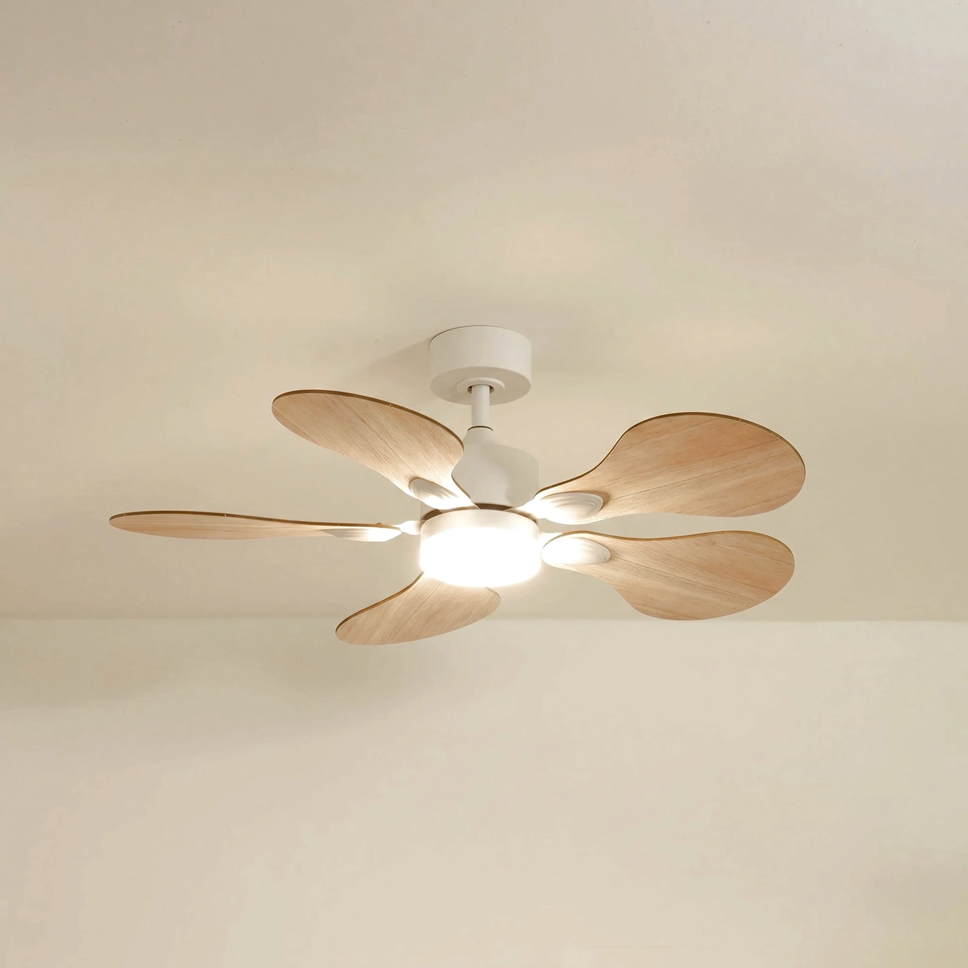 Anémone teinté Chêne | Ventilateur de plafond