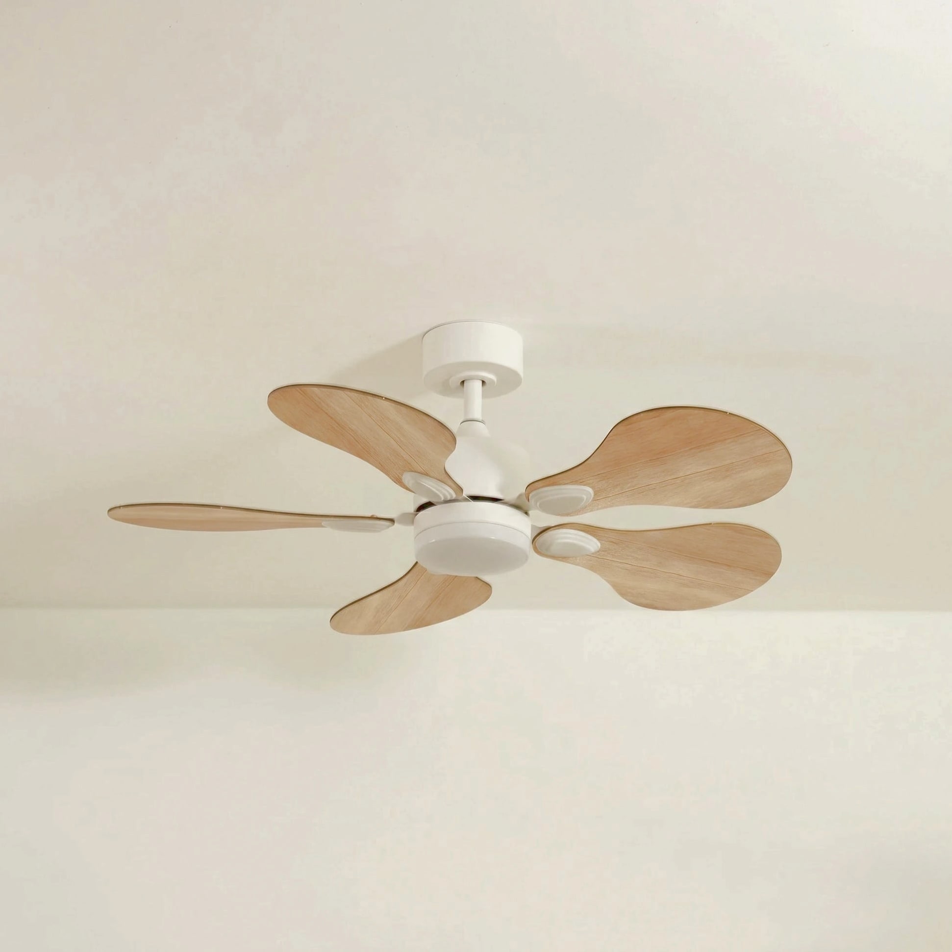 Anémone teinté Chêne | Ventilateur de plafond