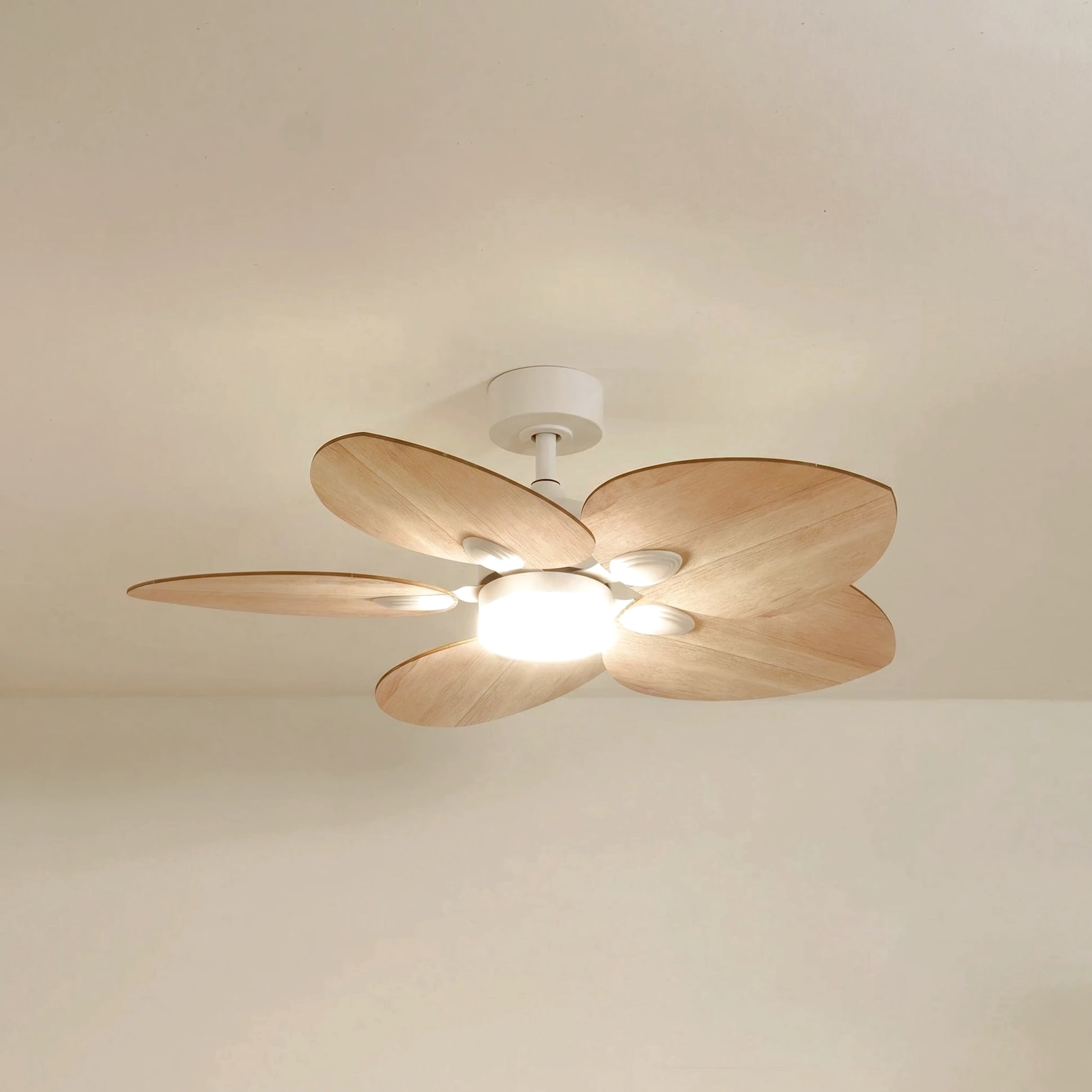 Dahlia teinté Chêne | Ventilateur de plafond