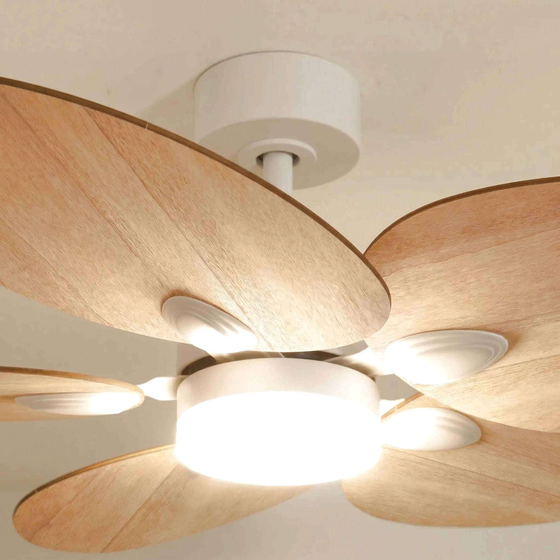 Dahlia teinté Chêne | Ventilateur de plafond