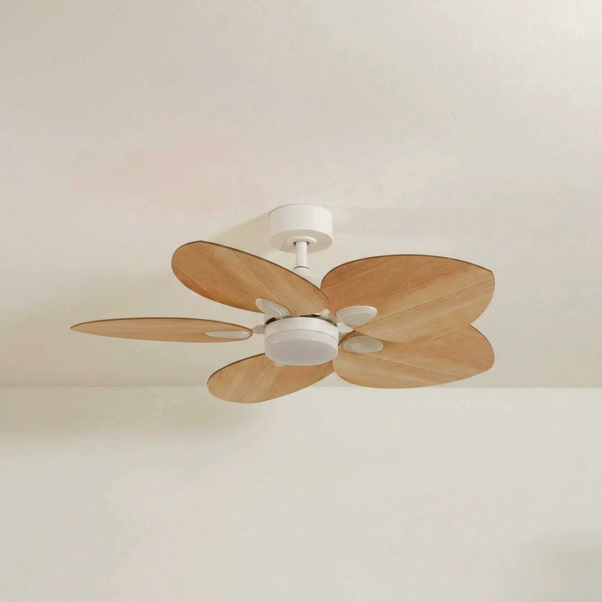 Dahlia teinté Chêne | Ventilateur de plafond