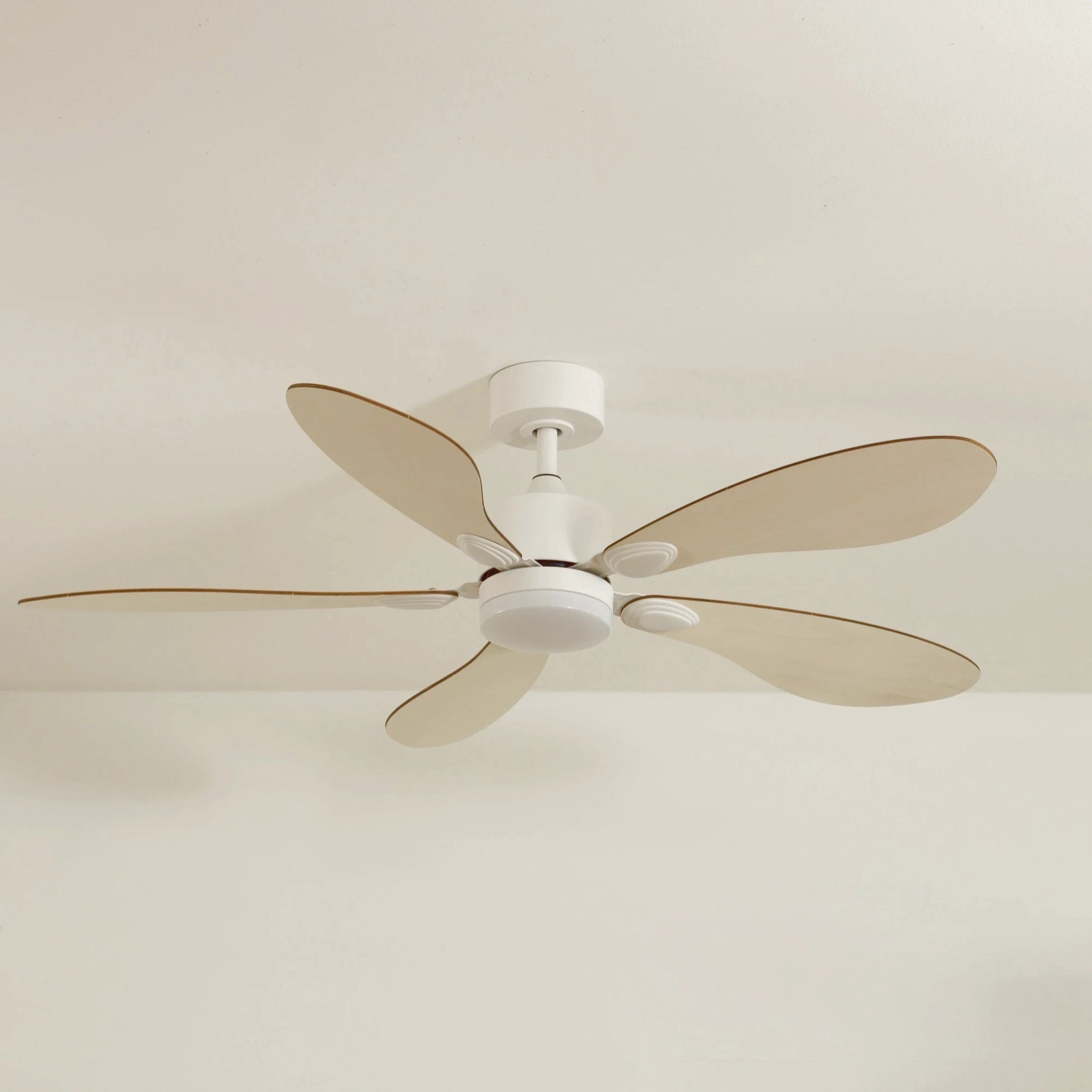 Libellule | Ventilateur de plafond