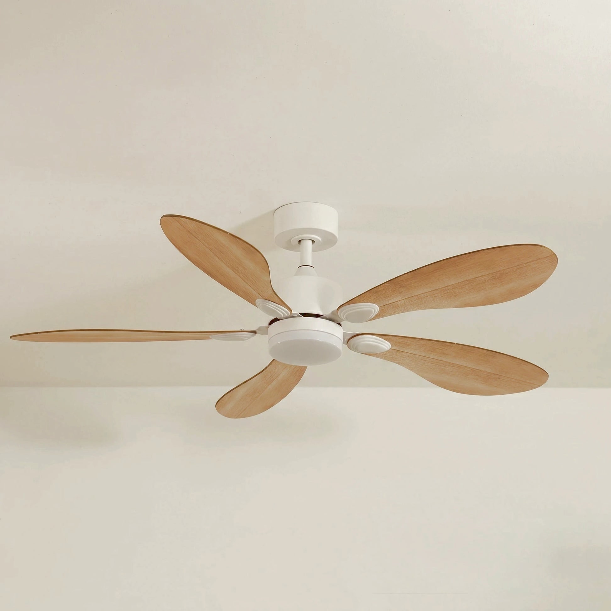 Libellule teinté Chêne | Ventilateur de plafond