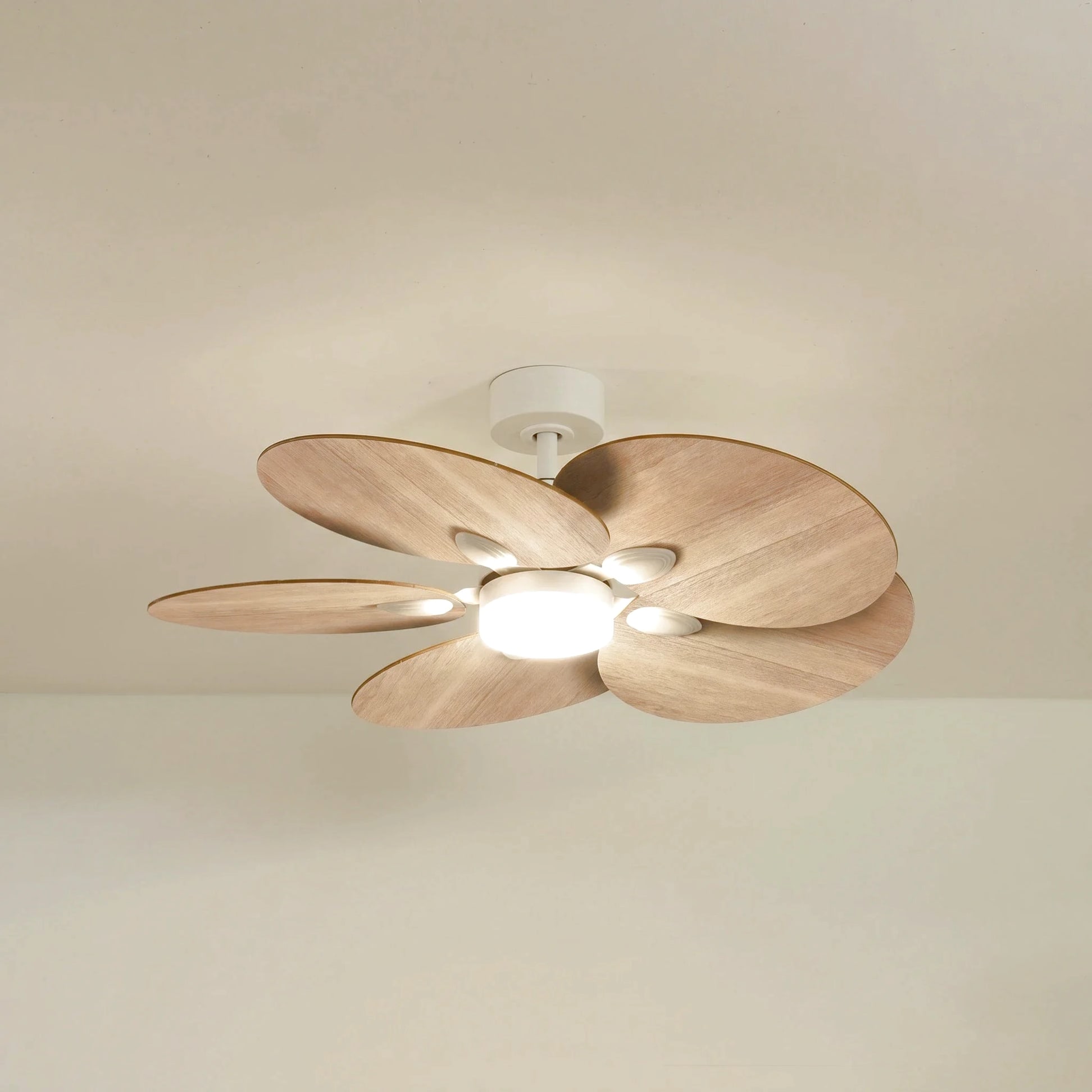 Lotus teinté Chêne | Ventilateur de plafond