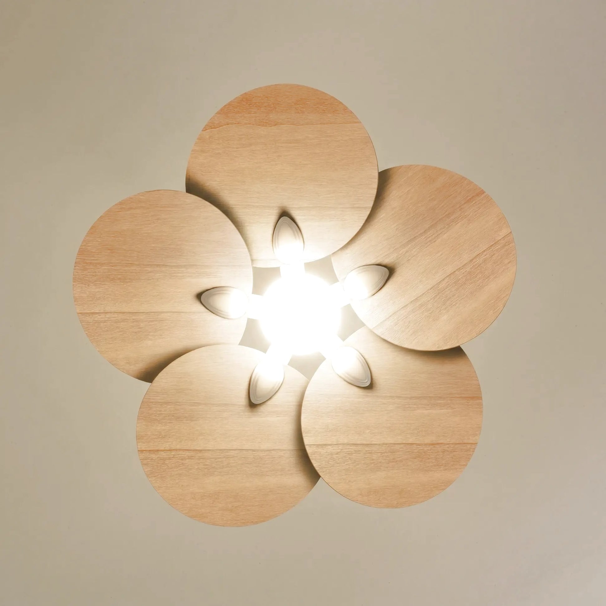 Lotus teinté Chêne | Ventilateur de plafond