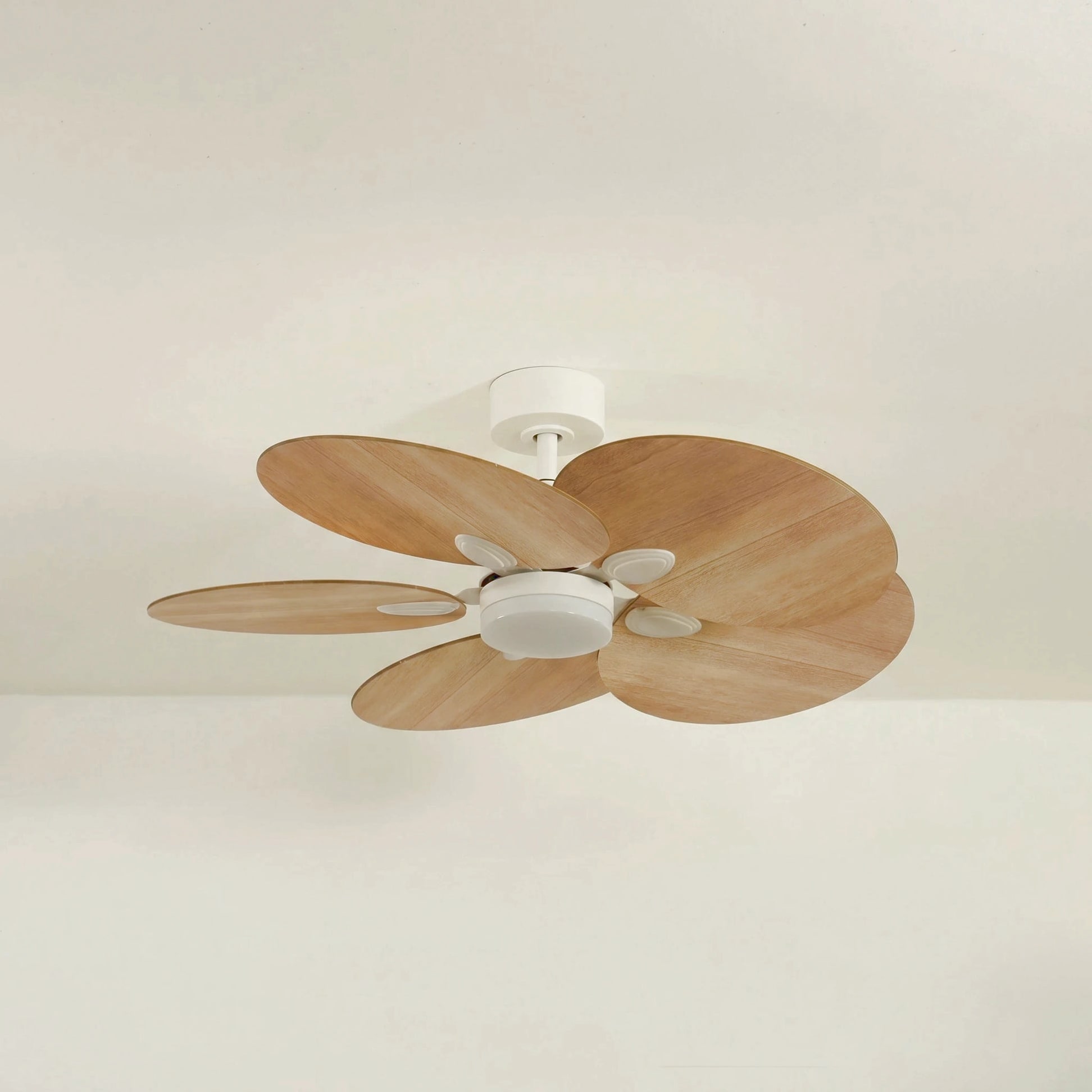 Lotus teinté Chêne | Ventilateur de plafond