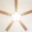 Mistral teinté Chêne | Ventilateur de plafond