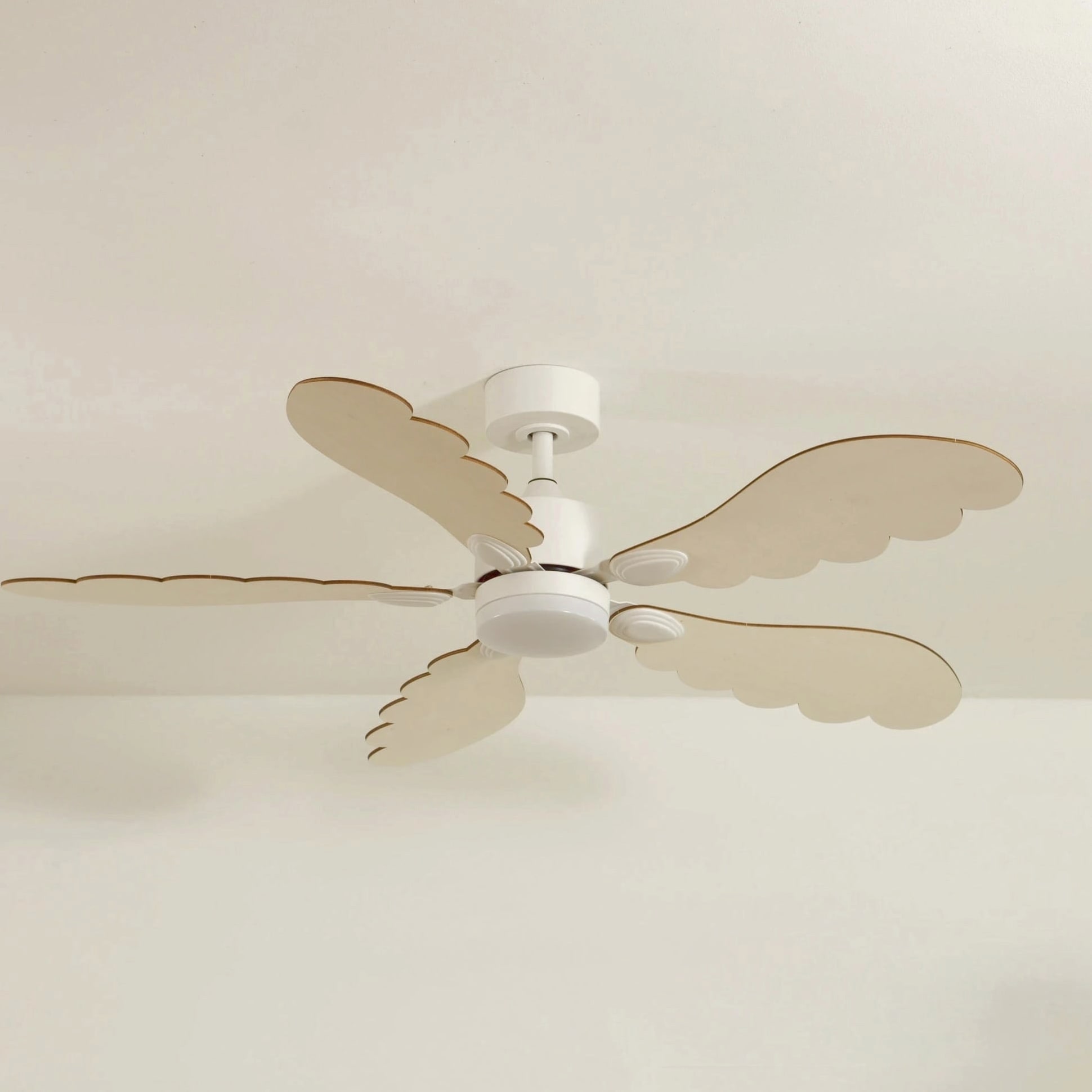 Plume | Ventilateur de plafond