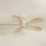 Plume teinté Chêne | Ventilateur de plafond