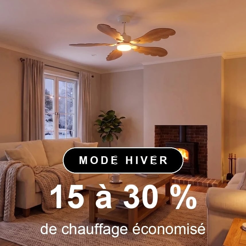 plume scene hiver