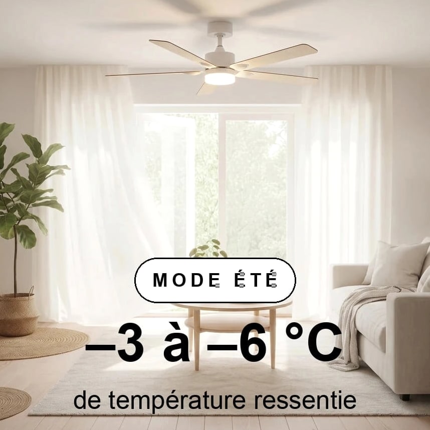 mistral scene ete
