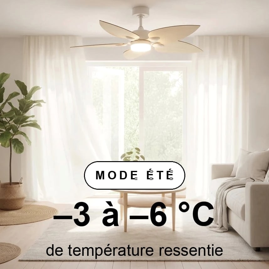 virevole scene ete