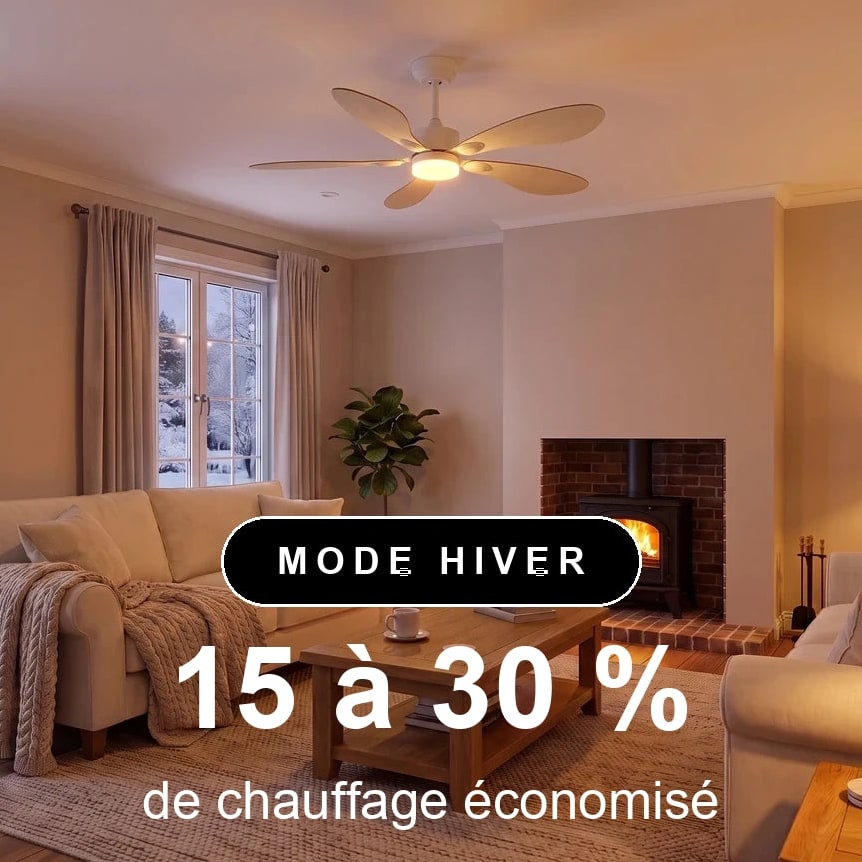 libellule scene hiver
