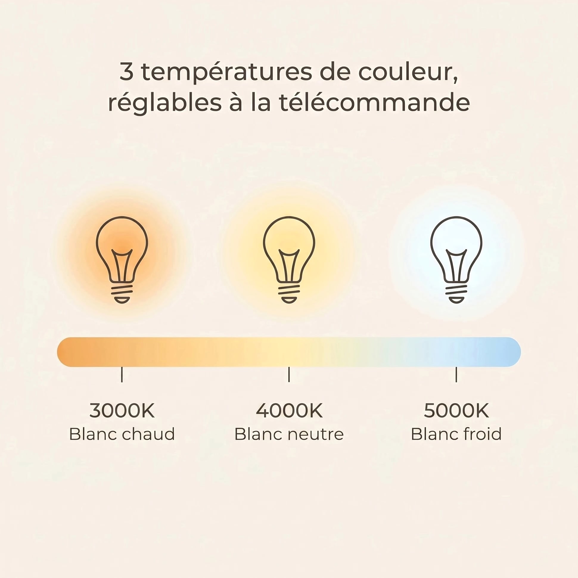 Libellule | Ventilateur de plafond