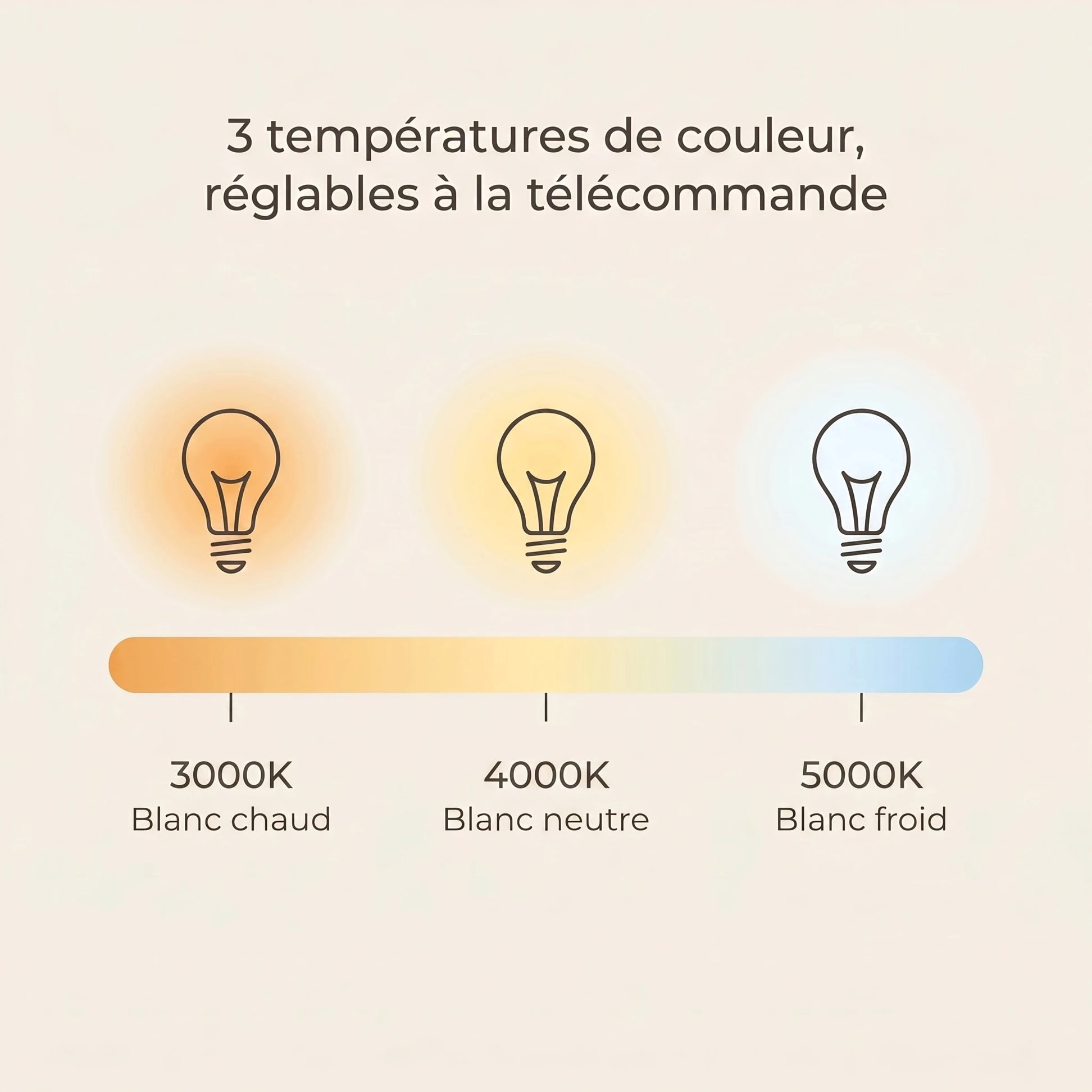 Lotus | Ventilateur de plafond