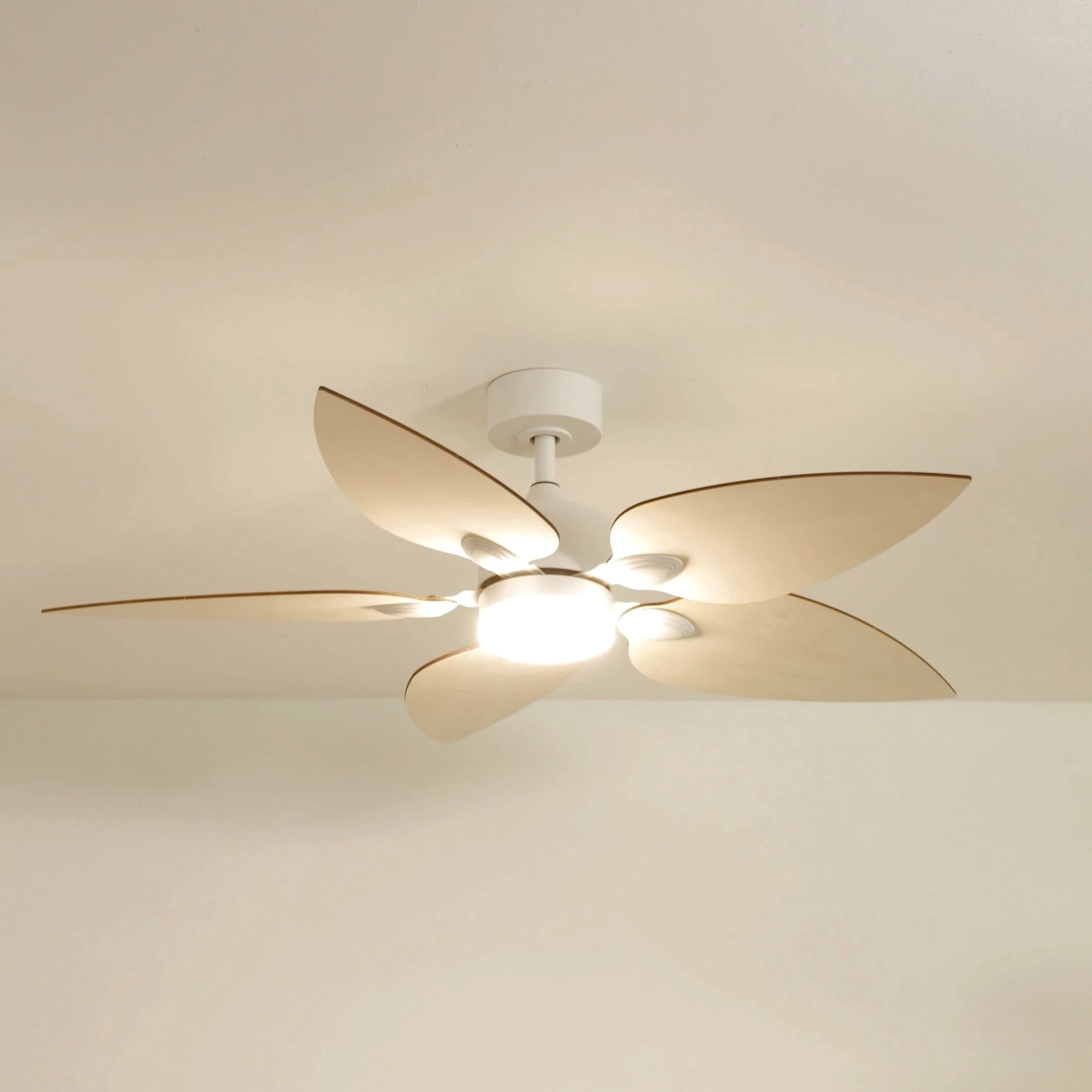 Virevole | Ventilateur de plafond