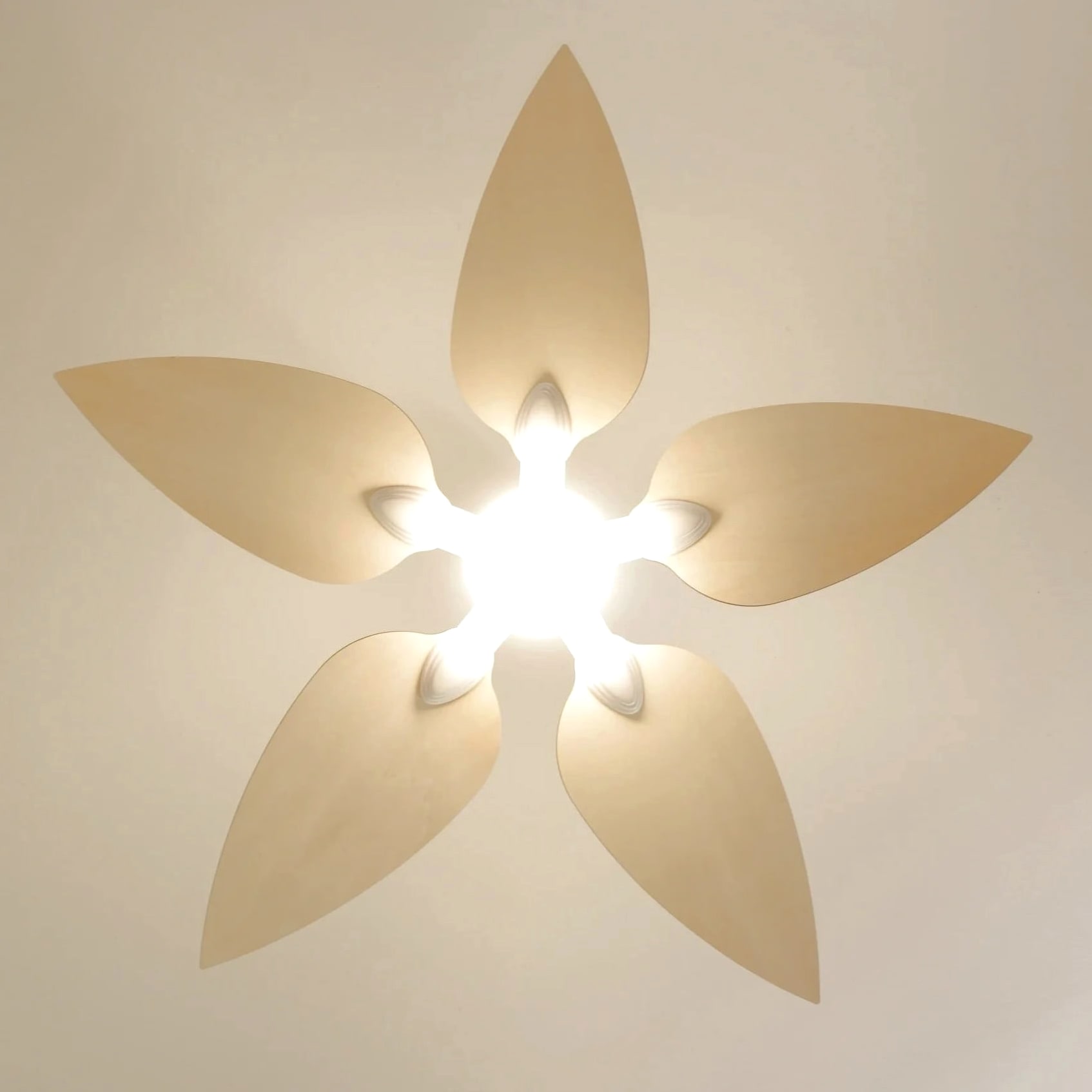 Virevole | Ventilateur de plafond