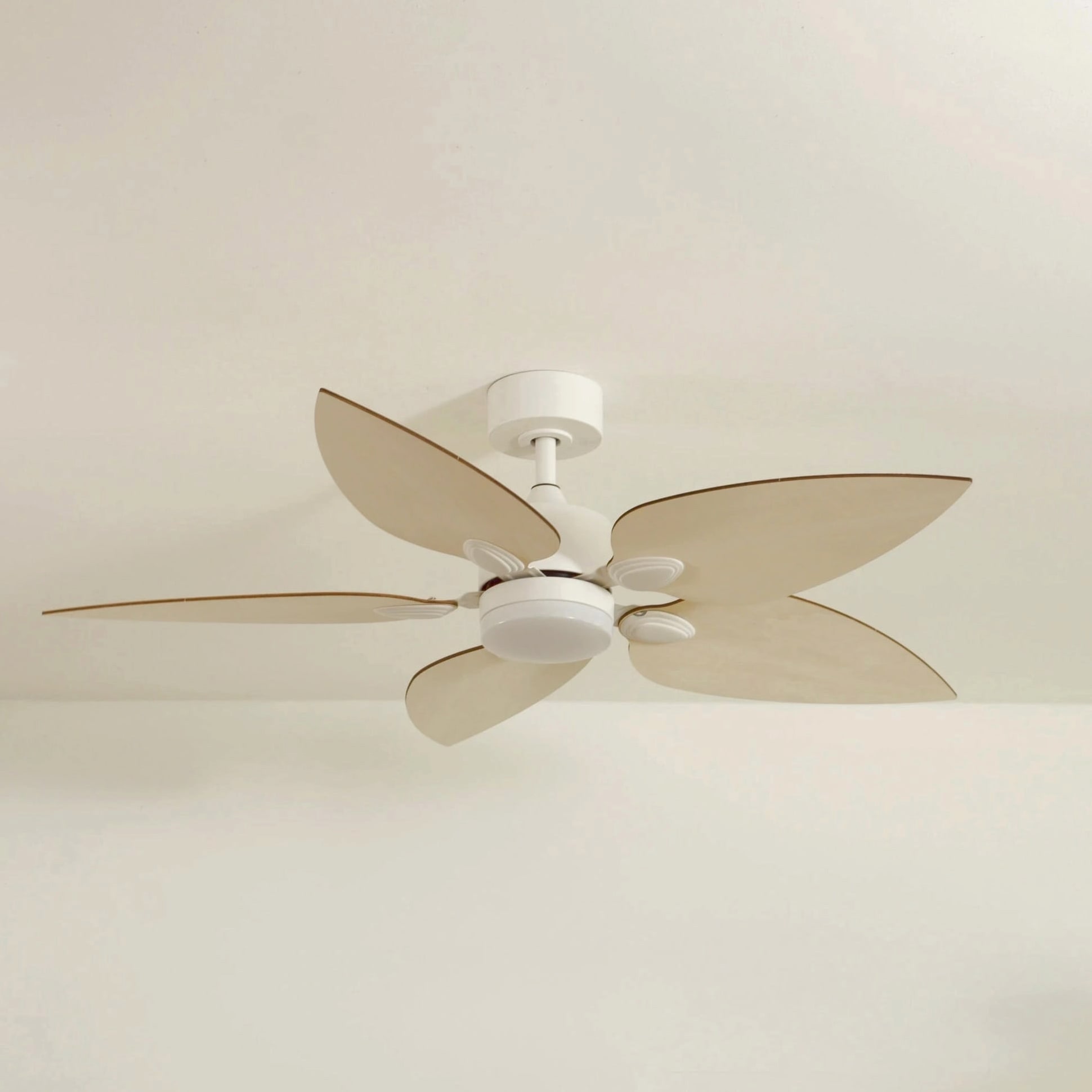 Virevole | Ventilateur de plafond
