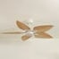 Virevole teinté Chêne | Ventilateur de plafond