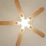 Zéphyr teinté Chêne | Ventilateur de plafond