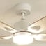 Zéphyr | Ventilateur de plafond