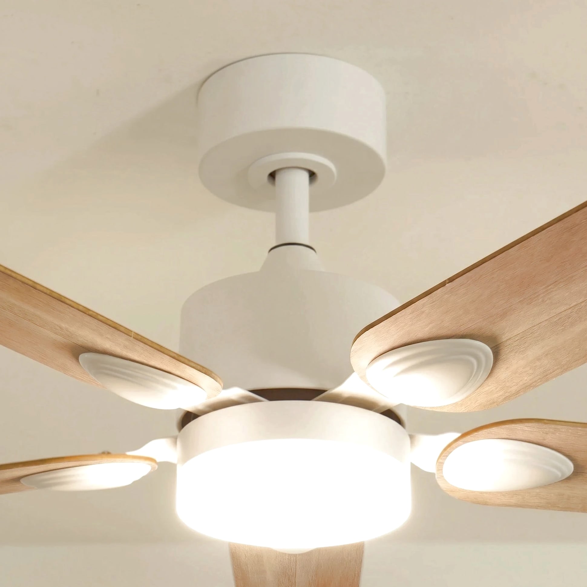 Zéphyr teinté Chêne | Ventilateur de plafond